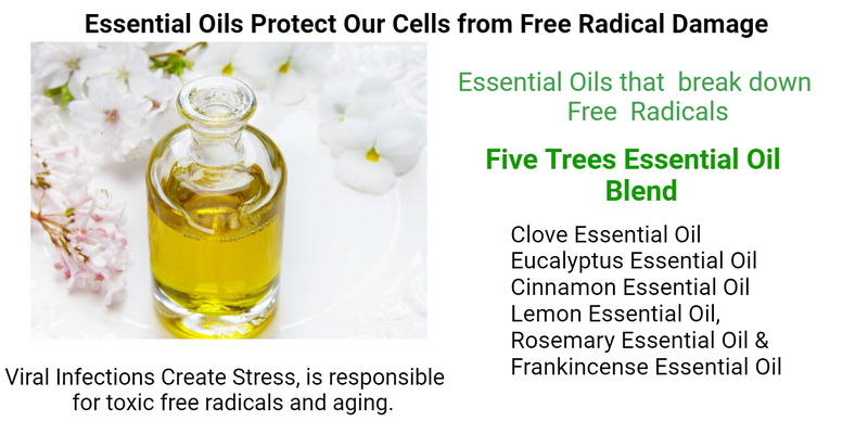 Did You Know, Viral Infections Cause Aging?