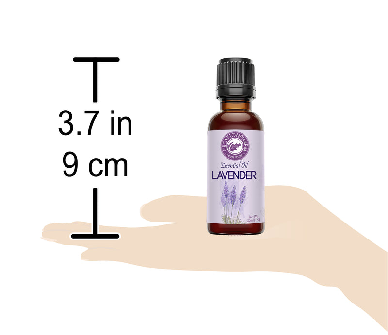 Lavender Oil 100% Pure Premium Lavender Essential Oil - Aceite de lavanda - from Creation Pharm - Creation Pharm